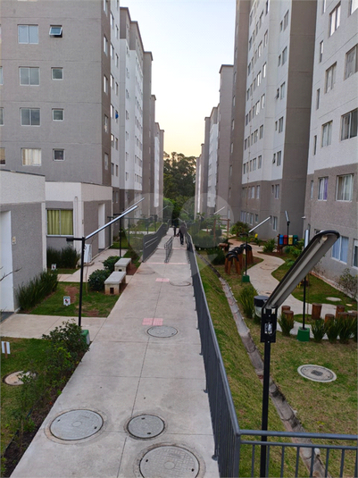 Foto REO1088899