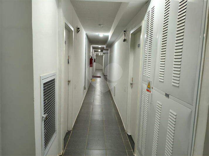 Foto REO1088899