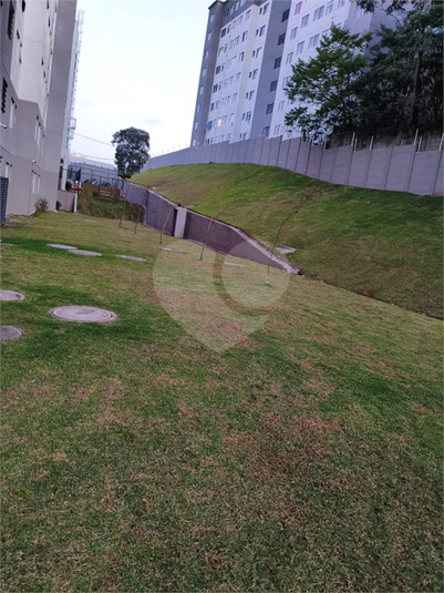 Foto REO1088899