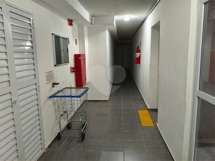Foto REO1088899