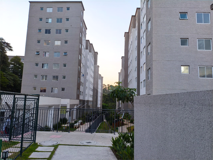 Foto REO1088899