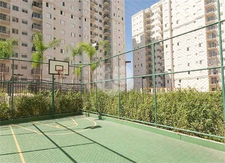 Foto REO1088900