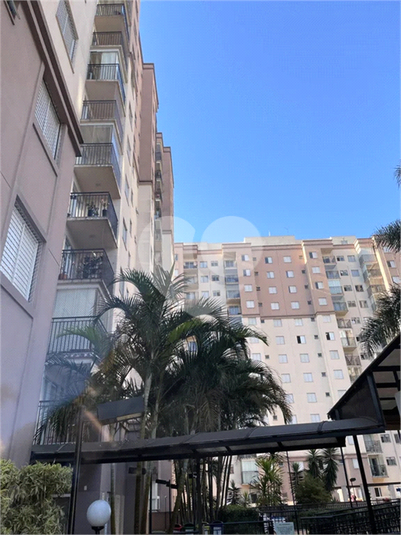 Foto REO1088900