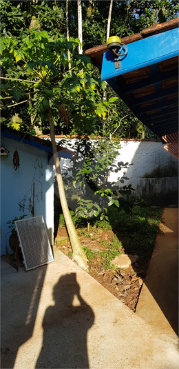 Foto REO1088905