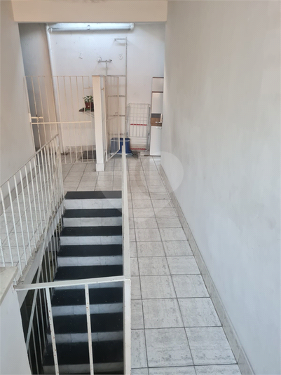 Foto REO1088907