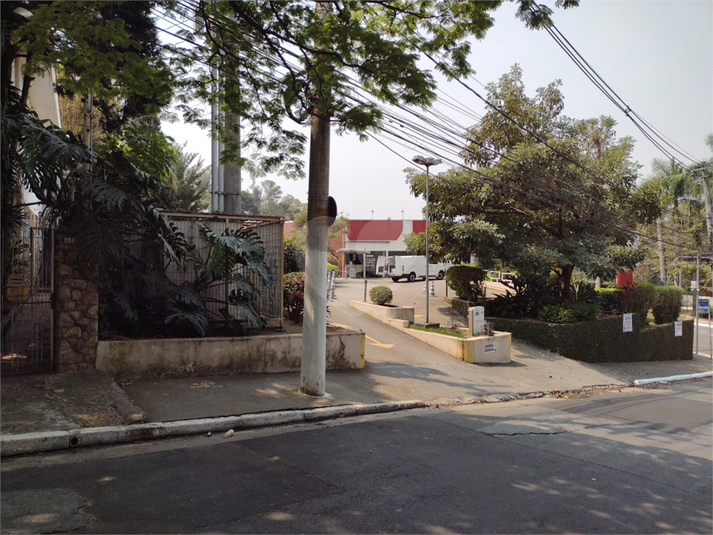 Foto REO1088914