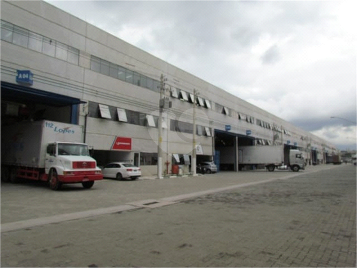 Foto REO1088922