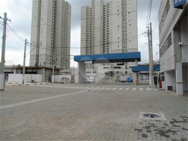 Foto REO1088922