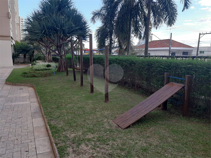 Foto REO1088927