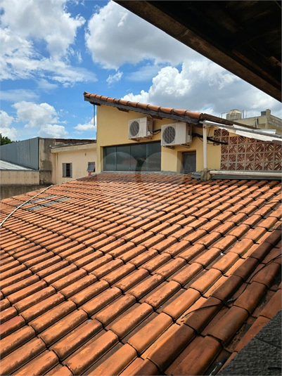 Foto REO1088933