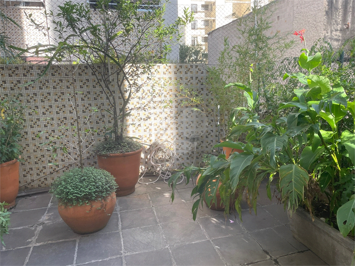 Foto REO1088935