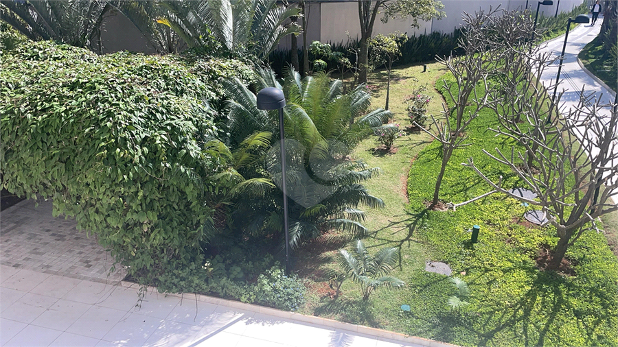Foto REO1088937