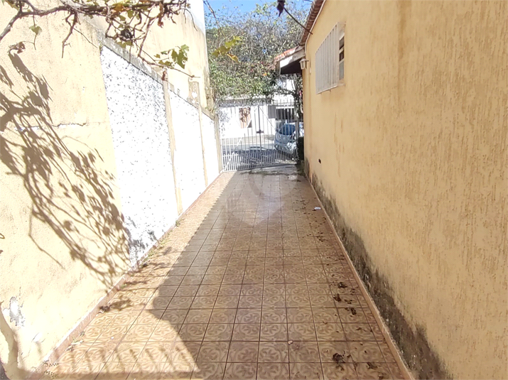 Foto REO1088941