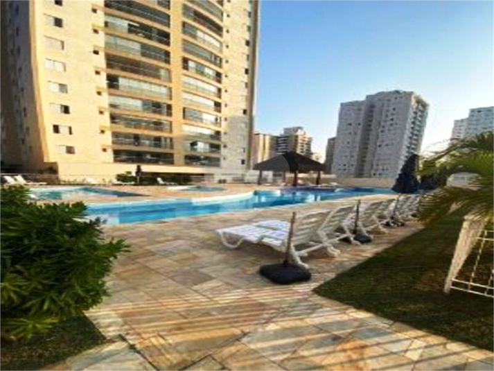 Foto REO1088942