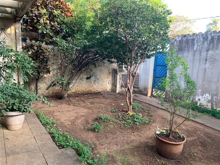Foto REO1088948