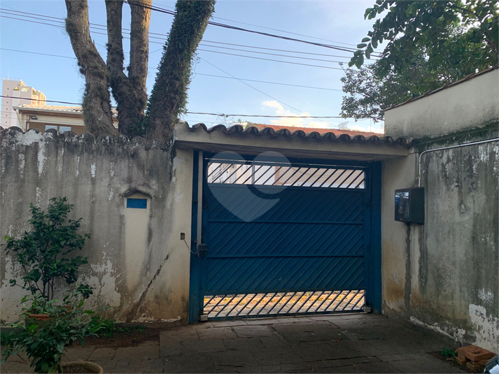 Foto REO1088948