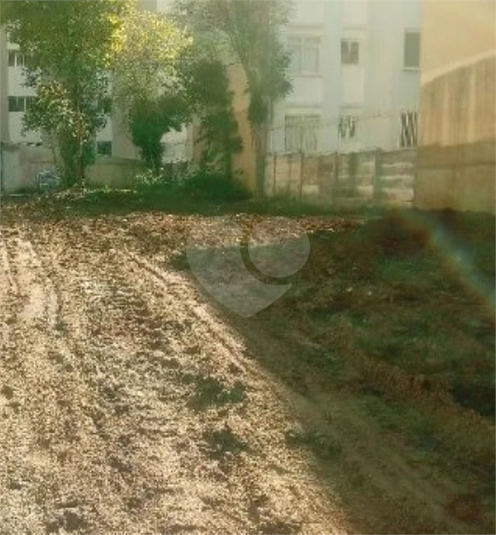 Foto REO1088953