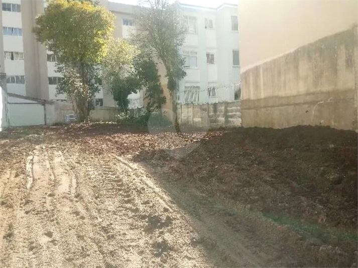 Foto REO1088953