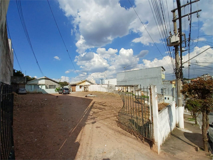Foto REO1088963