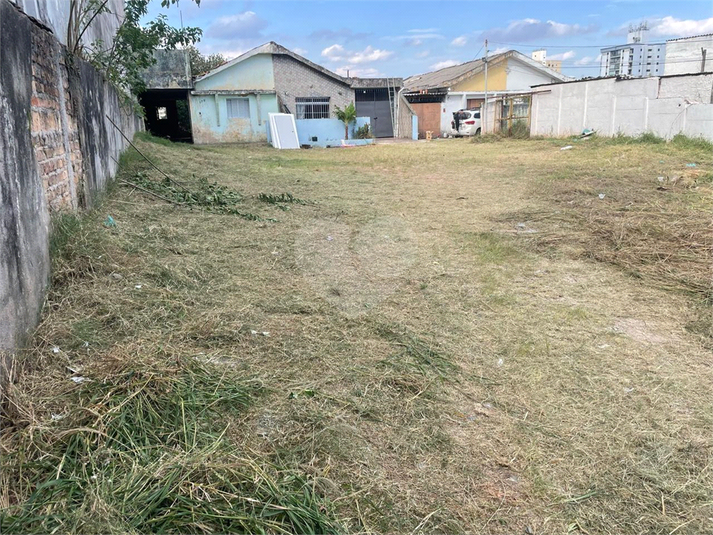 Foto REO1088963