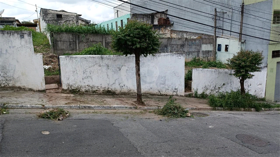 Foto REO1088963