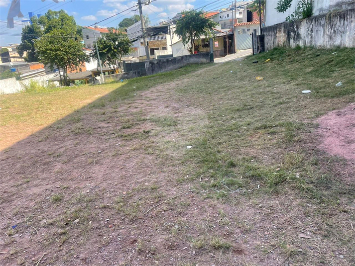 Foto REO1088963