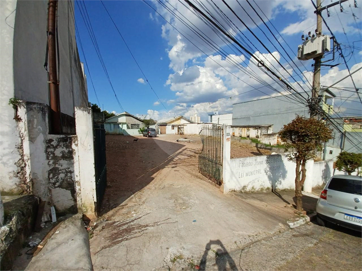 Foto REO1088963