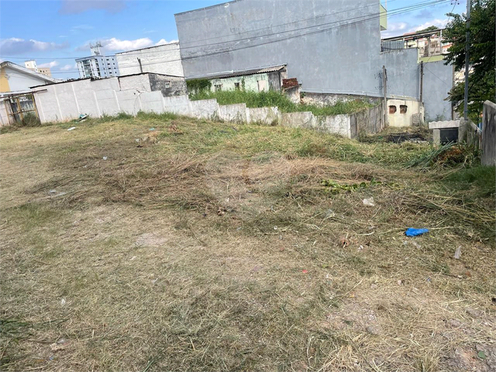 Foto REO1088963