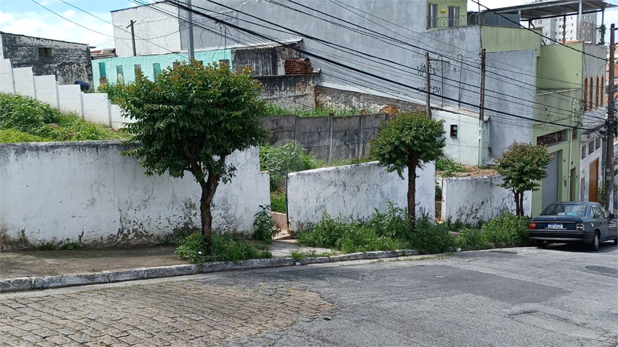 Foto REO1088963