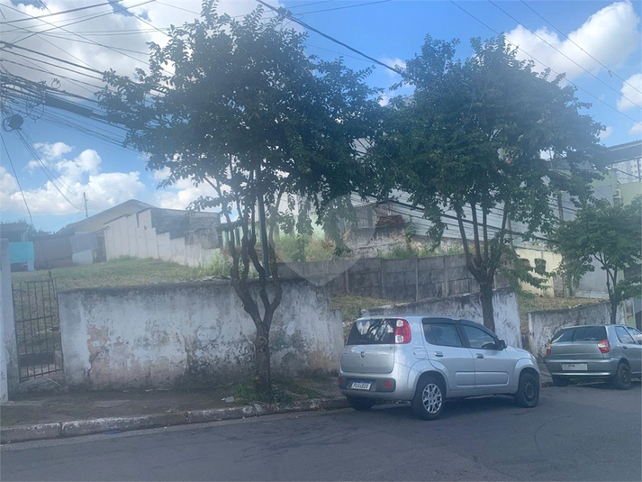 Foto REO1088965