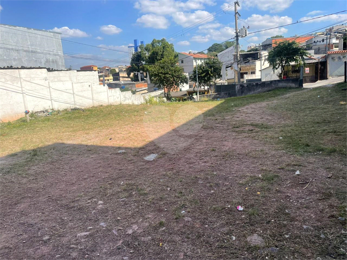 Foto REO1088965