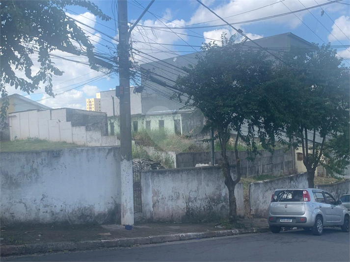 Foto REO1088966