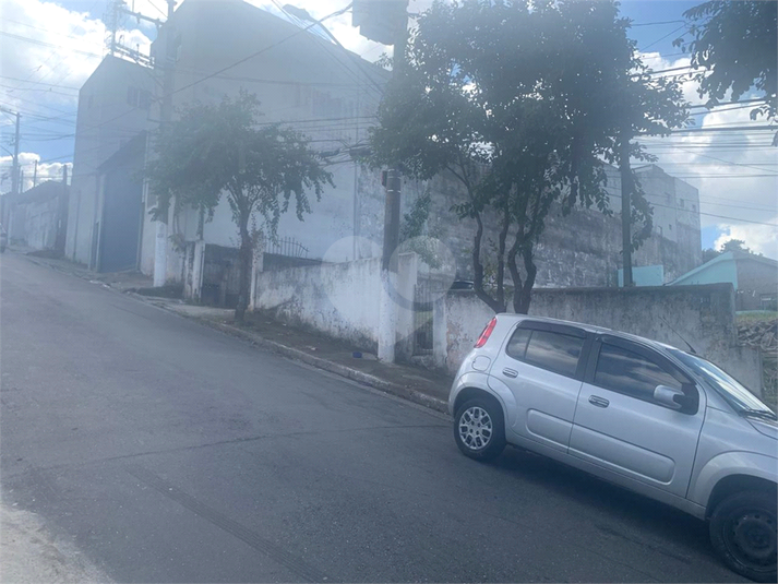 Foto REO1088966