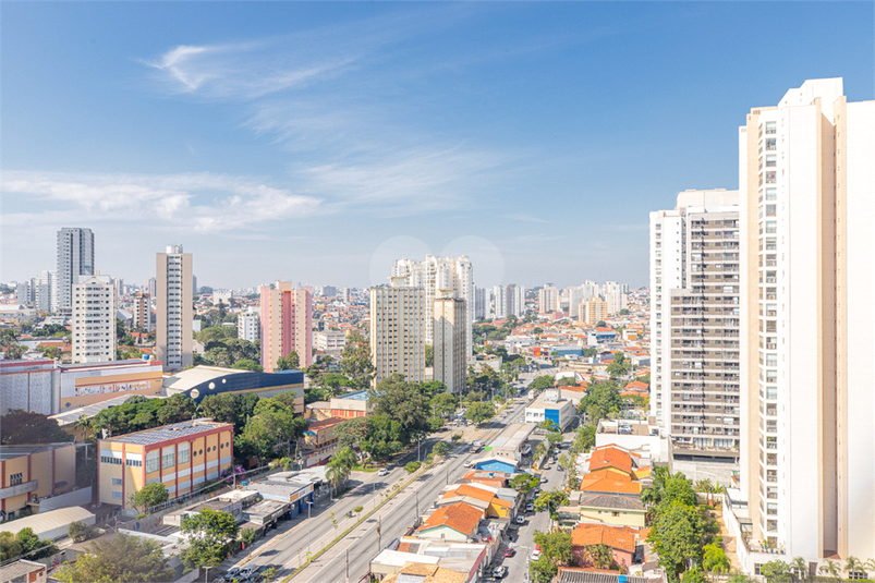 Foto REO1088975