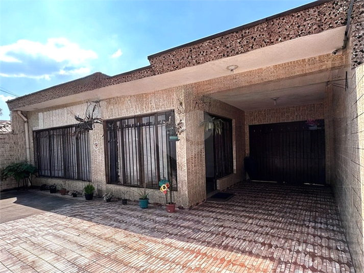 Foto REO1088985