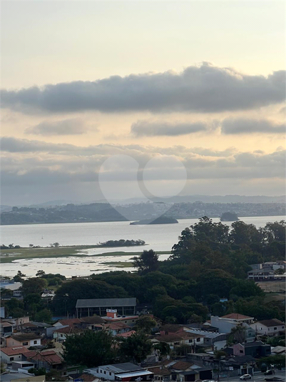 Foto REO1088989