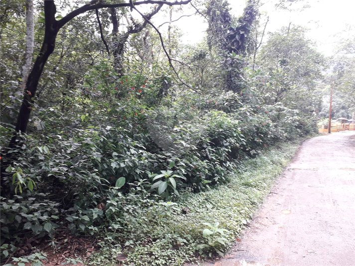 Foto REO1088992