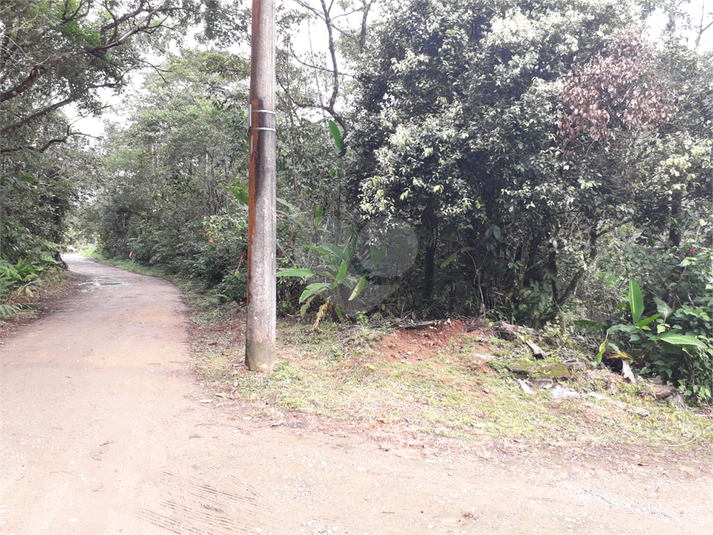 Foto REO1088992