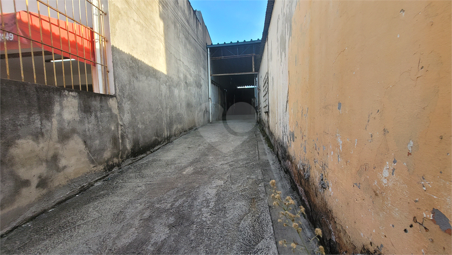 Foto REO1088993