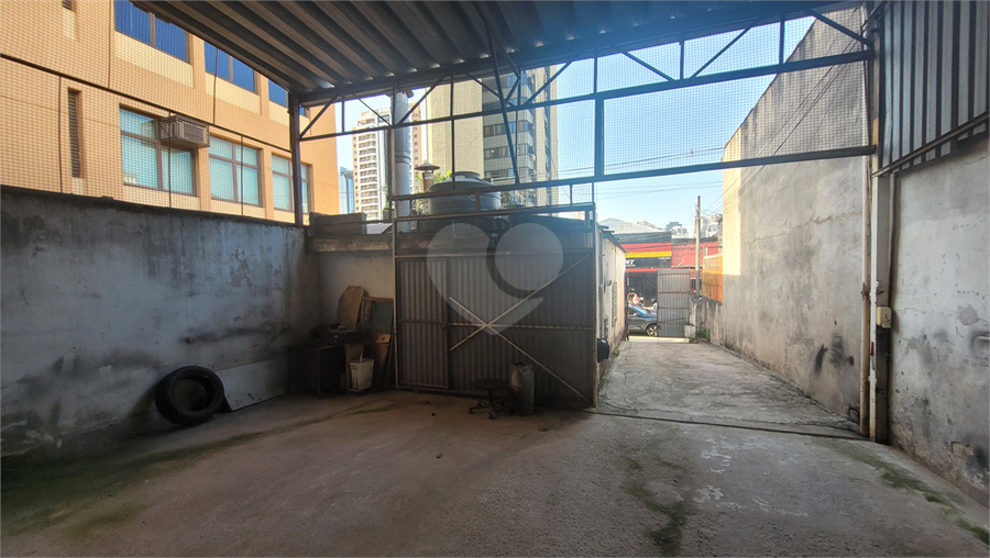 Foto REO1088993