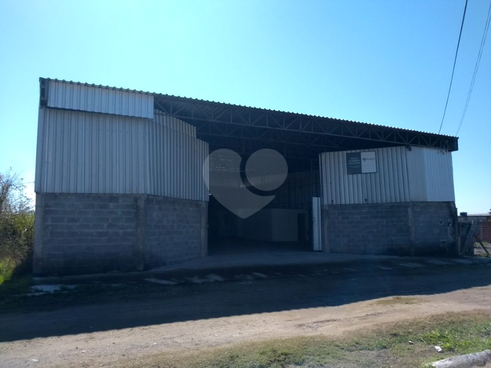 Foto REO1088998