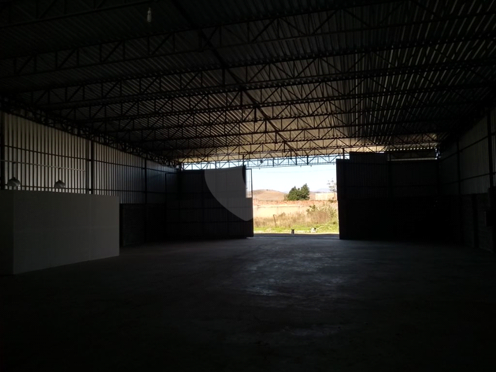 Foto REO1088998
