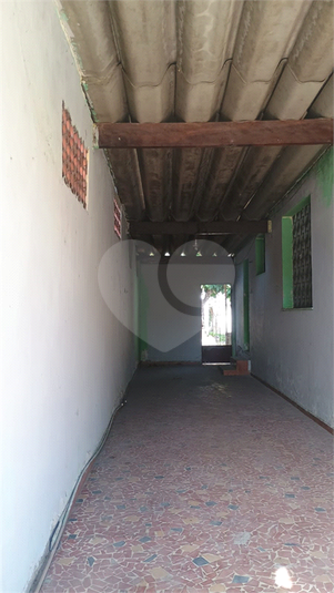 Foto REO1089013