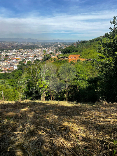 Foto REO1089046