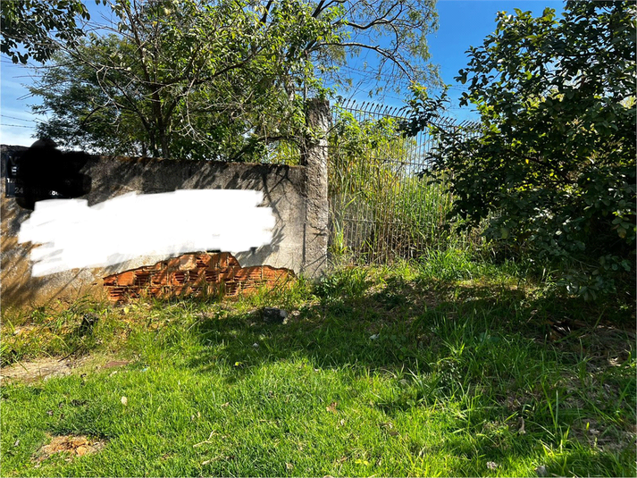 Foto REO1089046