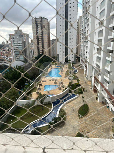 Foto REO1089056