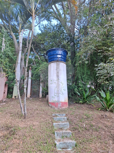 Foto REO1089113