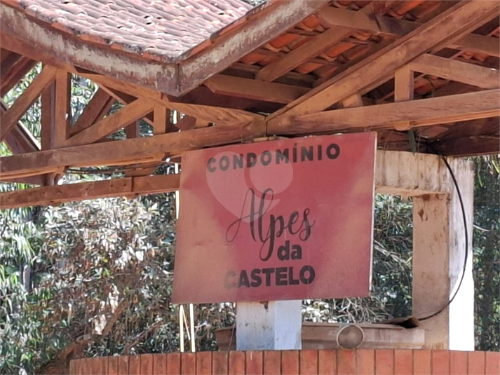 Foto REO1089113