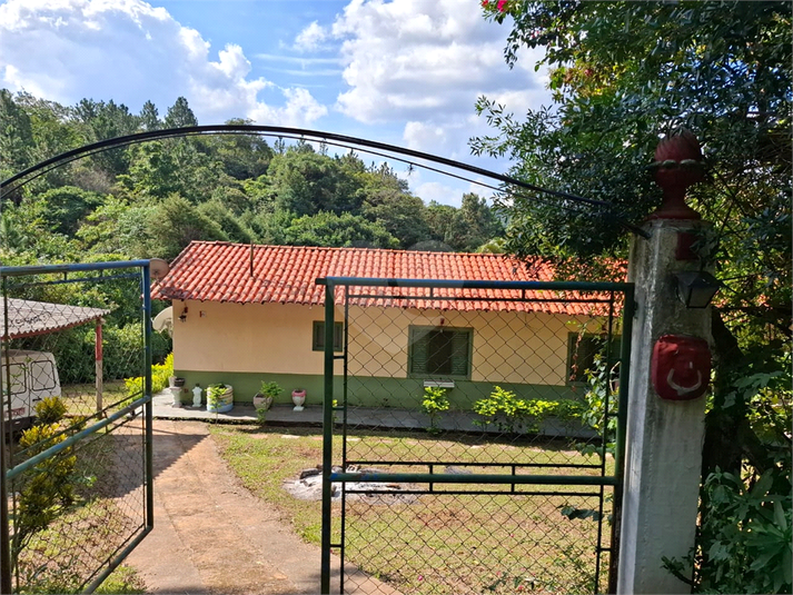 Foto REO1089113