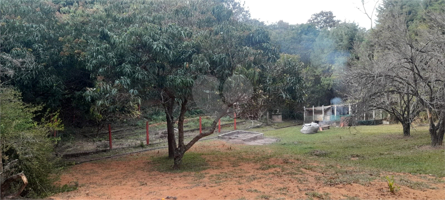 Foto REO1089113